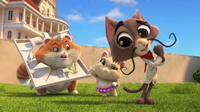 Lapalette, il gatto artista