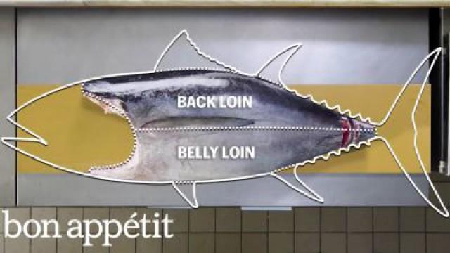 How To Butcher a Whole Tuna: Every Cut of Fish Explained