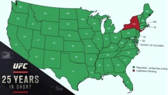 2011: New York State of Mind - The Story of the Fight for Legalization in NY State