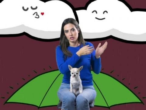 Episodio 7: viva la pioggia!