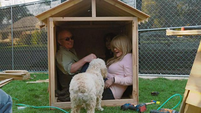 Building Brady: Painting and Doghouse-Building