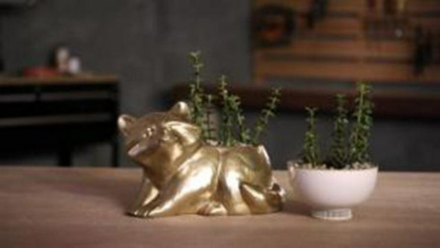 Sunshine Upcycle: Planters and Propagation