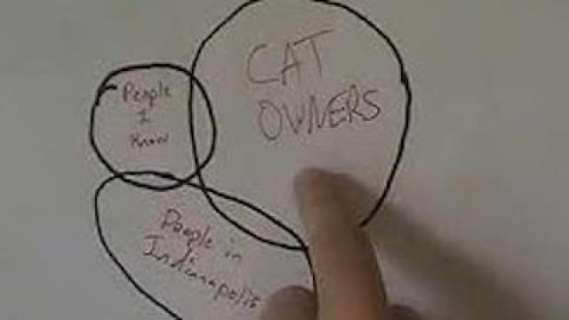 August 16th: Finding--and Licking--a Cat