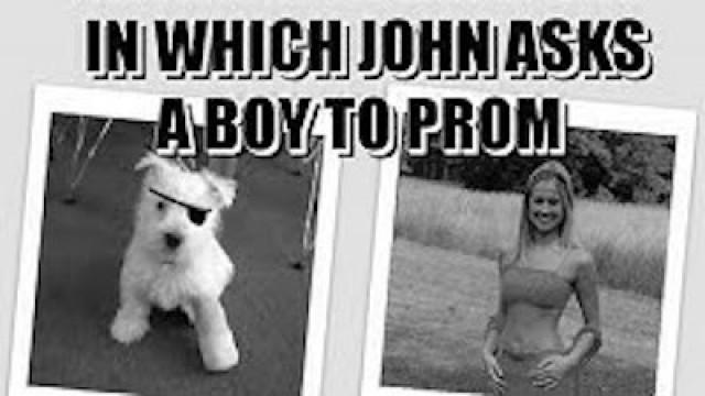 Peeps! Prom! Puppy!