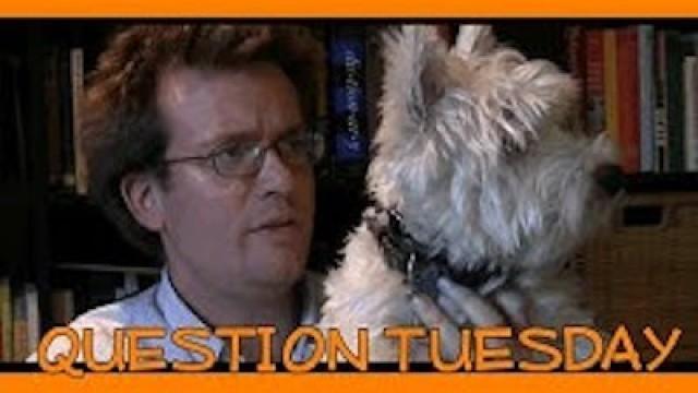 Question Tuesday!