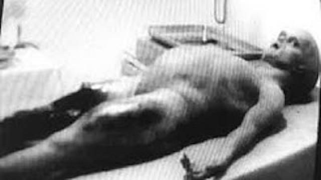 The Top 10 Greatest Hoaxes of All Time