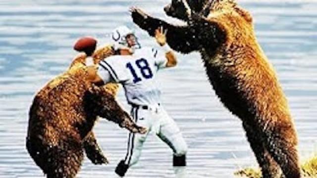 Truth or Fail: SUPERBOWL