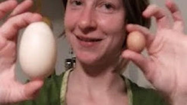 GIGANTIC CHICKEN EGG!!