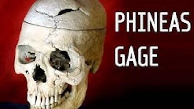 Phineas Gage: A Song