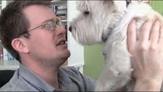 Why Does My Dog Eat Poop?