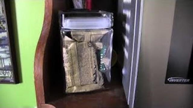 The Clif Bars Go in the Jar Because Mice: An Office Tour