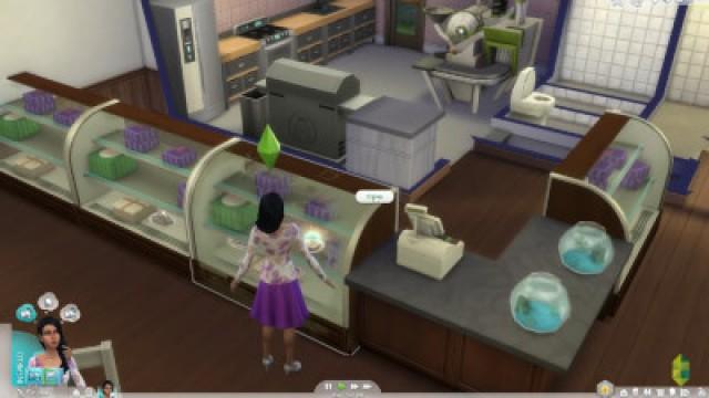 The Sims 4 - Lady's Life - Part 9