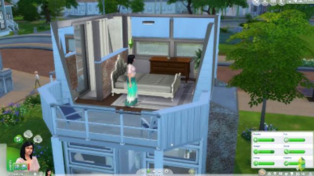 LEAST Used Item in The Sims 4?