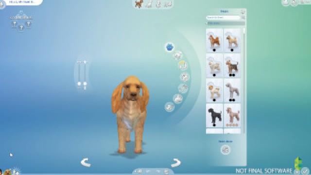 Making My REAL Pets in THE SIMS 4 CATS & DOGS!