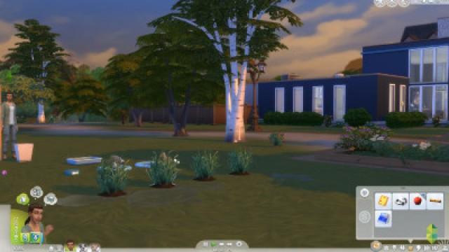 Wags to Riches - Part 3 (Sims 4 Cats & Dogs)