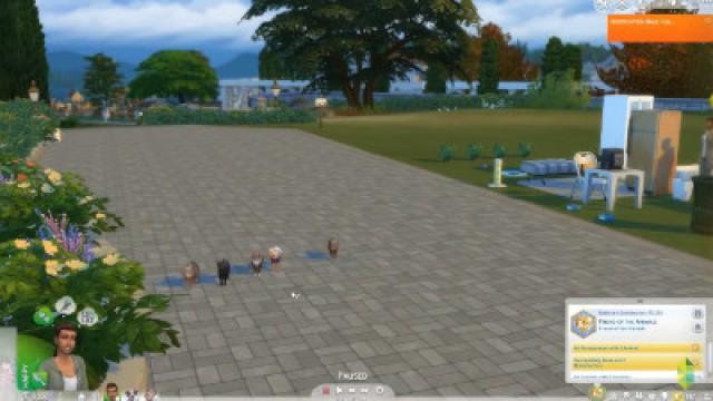 Wags to Riches - Part 5 (Sims 4 Cats & Dogs)