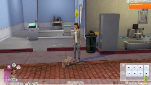 Wags to Riches - Part 8 (Sims 4 Cats & Dogs)