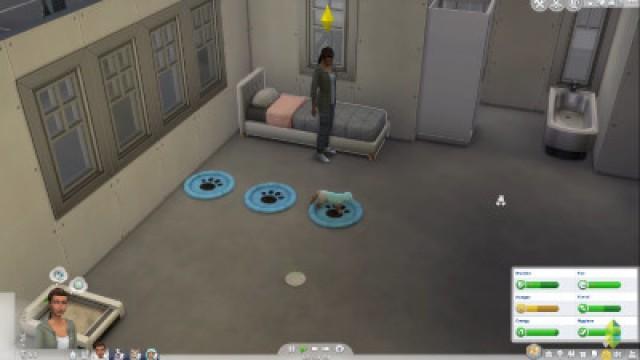 Wags to Riches - Part 11 (Sims 4 Cats & Dogs)