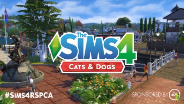 REAL LIFE CATS & DOGS | Visiting the RSPCA in Yagoona #AdoptDontShop #Sims4RSPCA