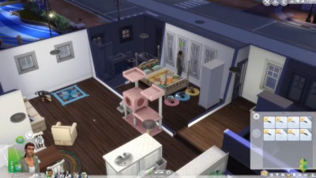 Wags to Riches - Part 20 (Sims 4 Cats & Dogs)
