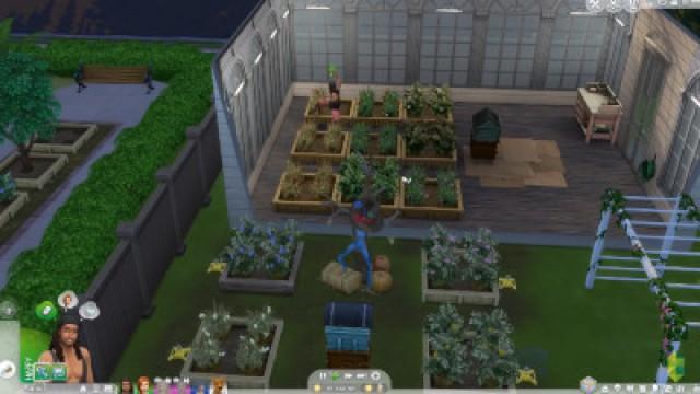 BIRD OF PARADISE - Part 19 - Rags to Riches (Sims 4 Seasons)