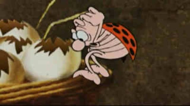 Panier d'Œufs