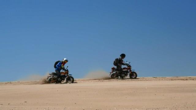 1,000 Miles in Baja on Honda Monkeys