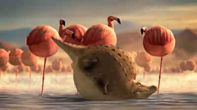 Flamingos