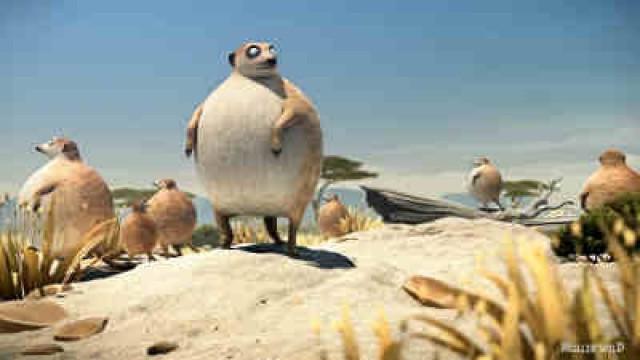 Erdmännchen