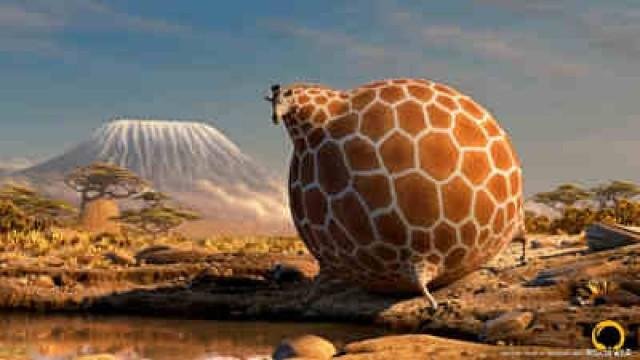 Giraffe