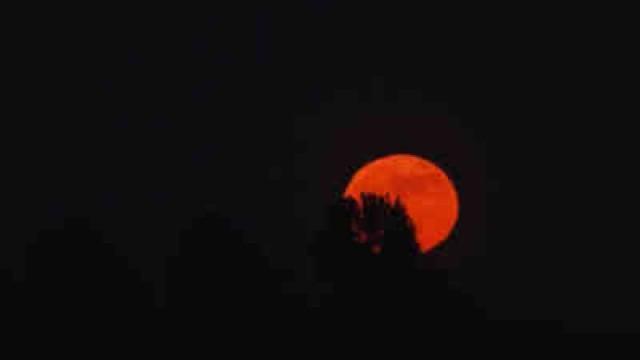 Déesse de la nuit