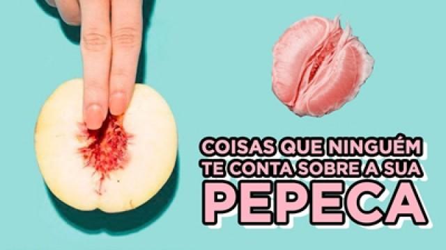 O QUE NINGUÉM TE CONTA SOBRE A PPK