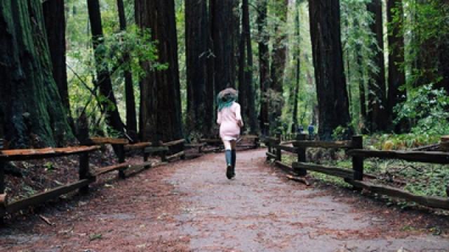 Perdidos em Muir Woods
