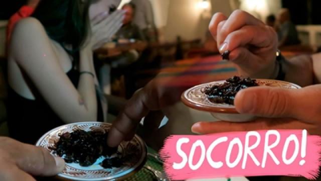 Comi INSETOS no México