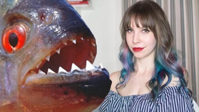 Não seja uma piranha tímida