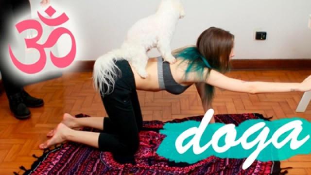 MEU CACHORRO FAZ YOGA