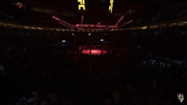 DONALD TRUMP V HILLARY CLINTON! BATTLE TO THE DEATH! (UFC 2 Fights)