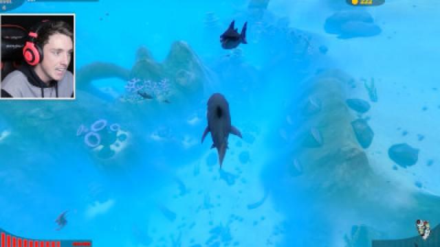 BIGGEST SHARK POSSIBLE! (Feed And Grow)