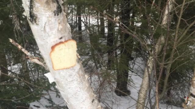 THE MOST *NSFW* SUBREDDIT OF ALL TIME