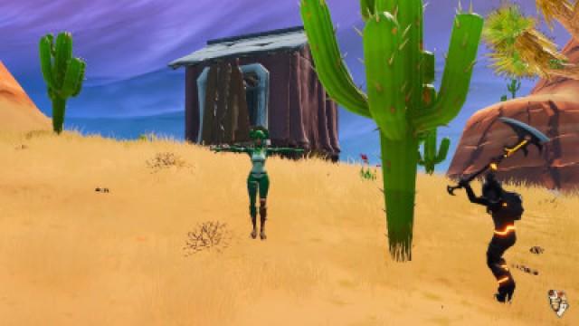 cactus skin is overpowered