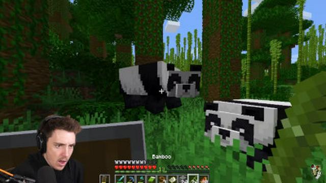 I tamed a PANDA in Minecraft