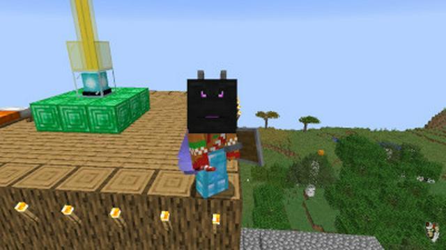 dumbest way to fight the ender dragon