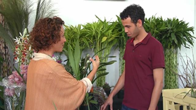 Quintal de Casa - Mini Fazendinha