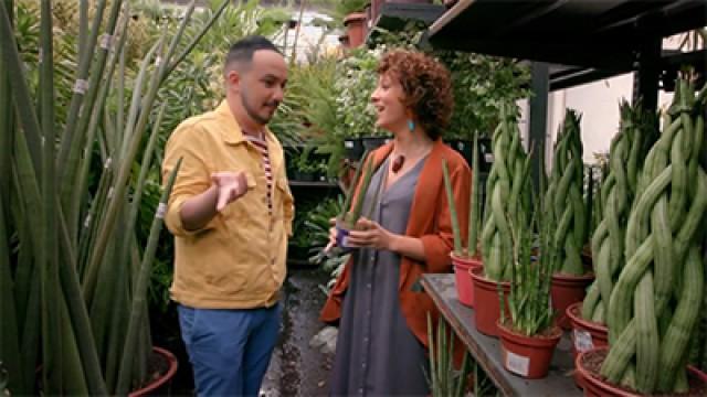 Terraço Na Cobertura - Quintal Nas Alturas