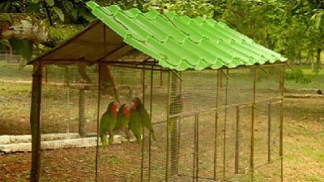 The Green Island