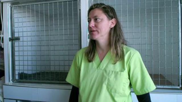 Aflevering 5
