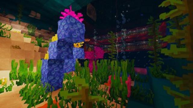 Parte 81 - HABITAT MARINO