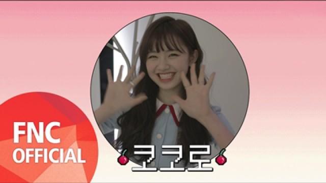 'Q&A' M/V Bonus Behind 'Kokoro'