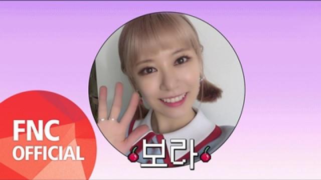 'Q&A' M/V Bonus Behind 'Bora'