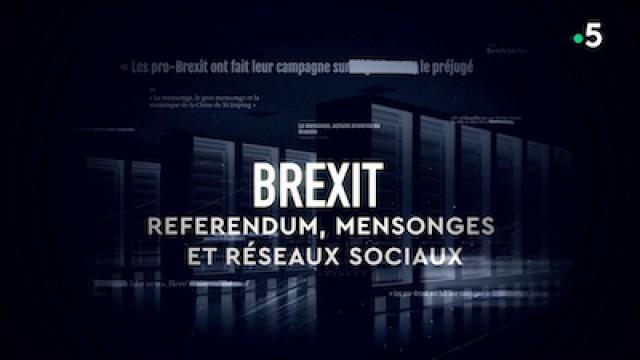 Brexit : référendum, mensonges et réseaux sociaux